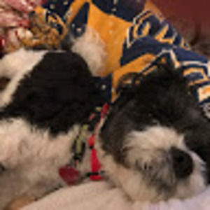 Meet your Posher, Sharon